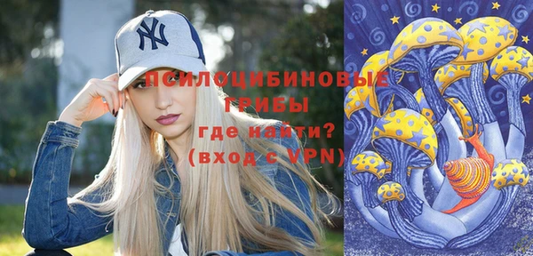 ГАЛЛЮЦИНОГЕННЫЕ ГРИБЫ Абаза