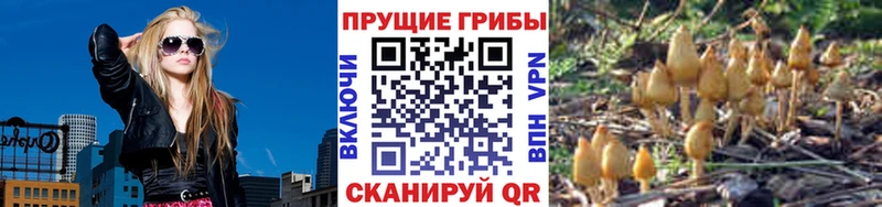 MEGA вход  Углегорск  Псилоцибиновые грибы MAGIC MUSHROOMS 